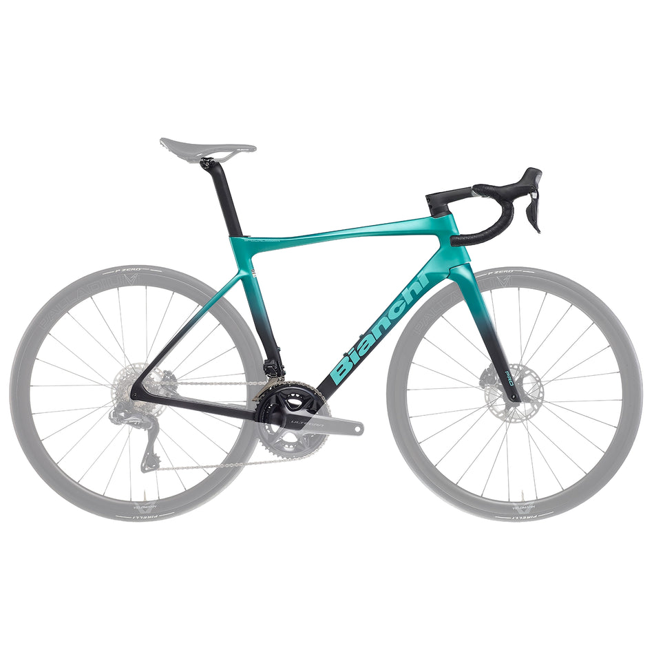 Bianchi Specialissima Pro Frameset